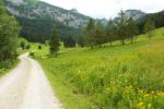 2014-07-05_Laengental-N-Hochweg (323). JPG